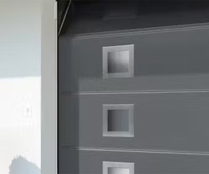 Garage Door window openings